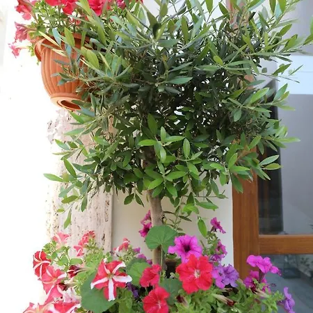 Dimitra Boutique Hotel